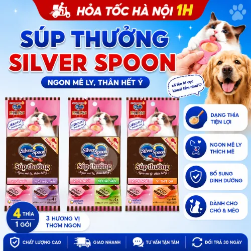 Súp Thưởng Cho Mèo Silver Spoon Dạng Thìa 10g