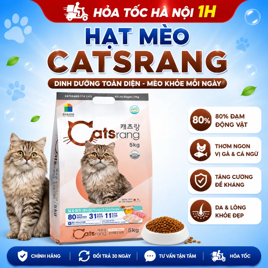 Hạt mèo các hãng Catsrang, Power cat, Cat's on, S2, Silver Spoon