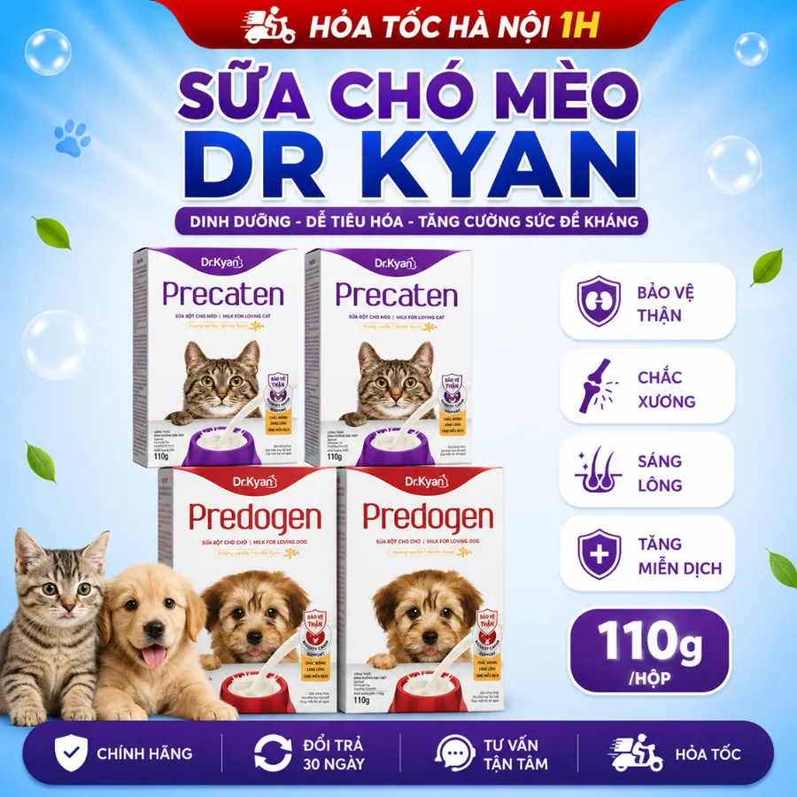 Sữa cho chó, mèo hộp giấy- 110g- Dr.Kyan Predogen sữa bột cao cấp