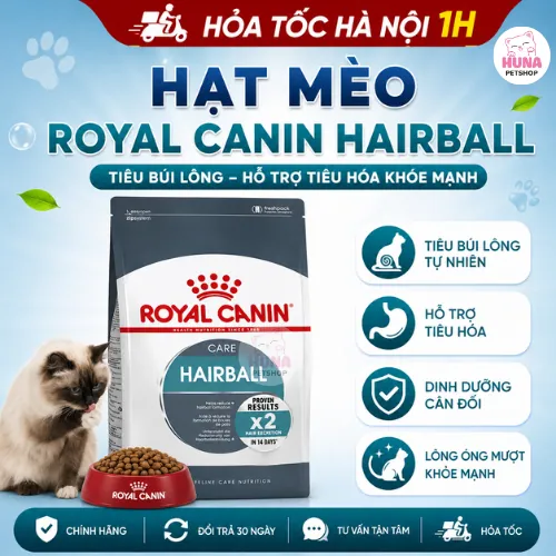 Royal Canin Intense Hair ball – Thức Ăn Tiêu Búi Lông Cho Mèo Trưởng Thành