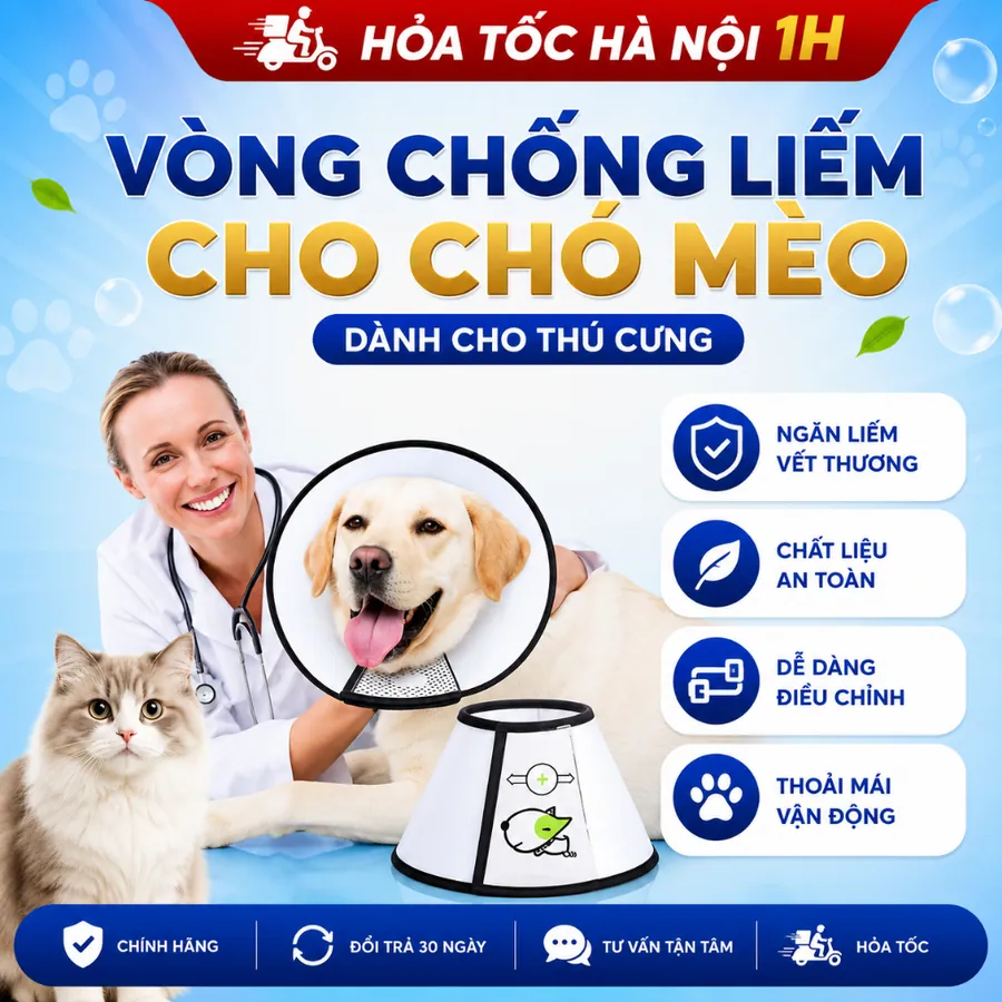 Vòng cổ chống liếm cho chó mèo chính hãng Zi Chen cao cấp