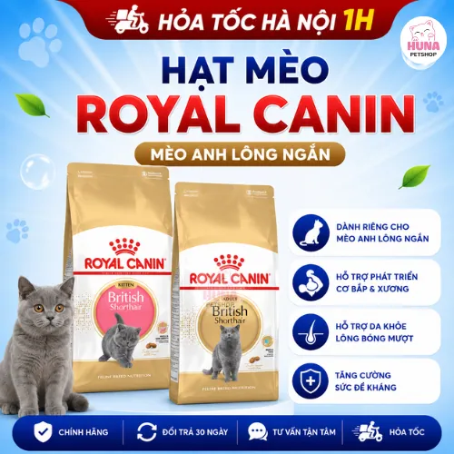 Hạt Royal Canin British Shorthair – Cho Mèo Anh Lông Ngắn ANL