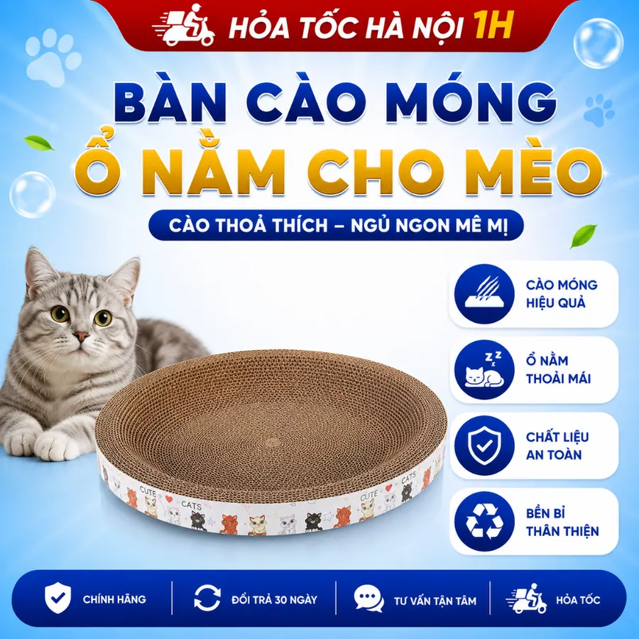 Bàn Cào Móng Đa Năng Cho Mèo - Kết Hợp Chơi Đùa, Nghỉ Ngơi Và Cào Móng