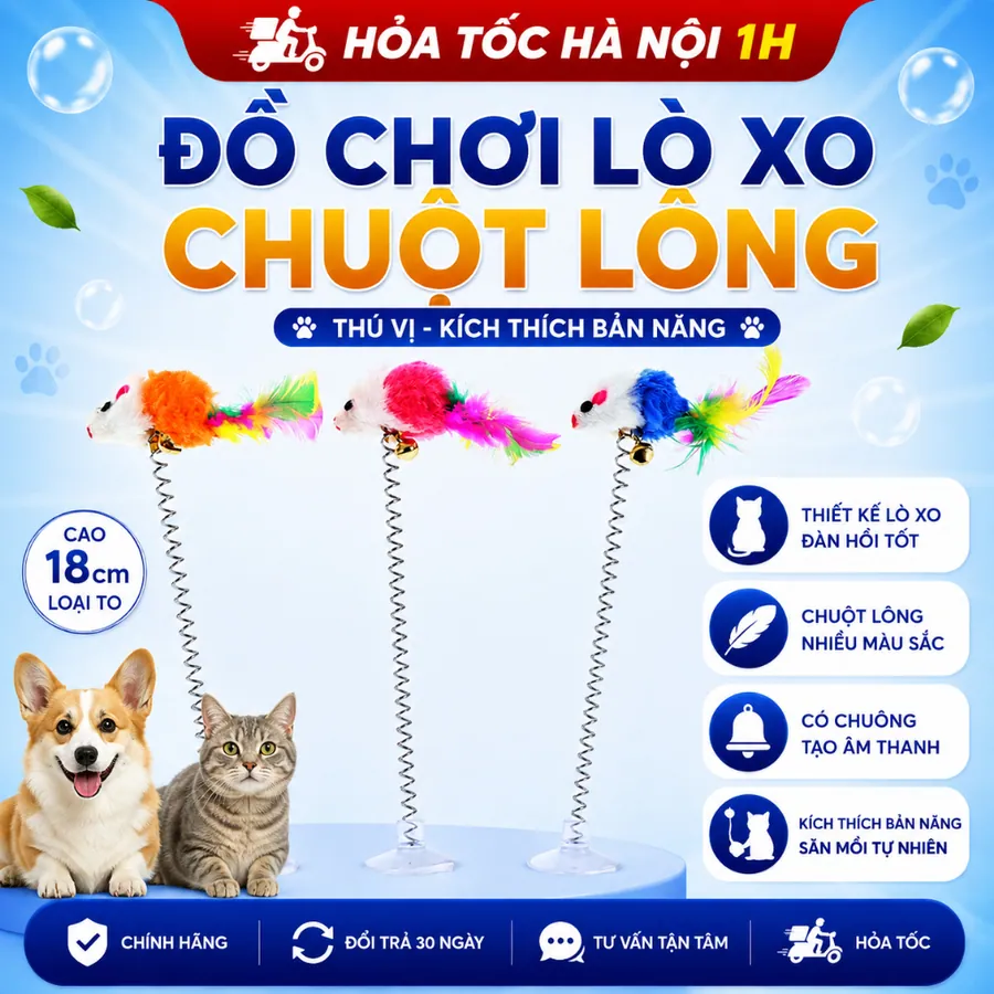 CÂY LÒ XO đồ chơi cho mèo gắn trên bàn, sàn gạch đồ chơi tự tương tác cho mèo thú cưng