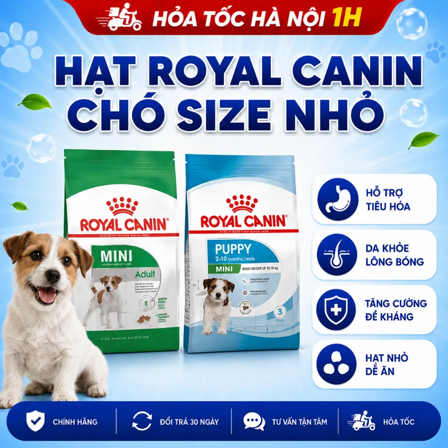 Thức Ăn Hạt Chó Royal Canin Mini Puppy Adult Cho Chó Giống Nhỏ – Dry Dog Food