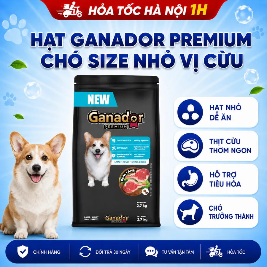Hạt Ganador Premium Adult Small Breed with Lamb – Cho Chó Giống Nhỏ Vị Cừu 1.3kg