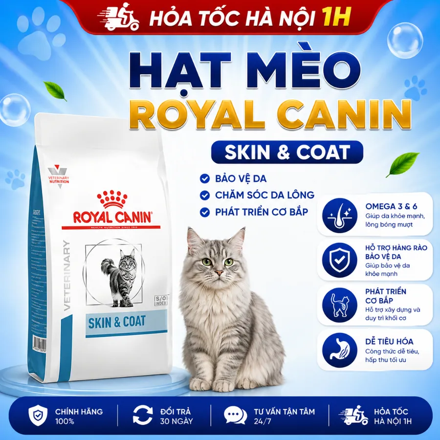 Hạt Mèo Royal Canin Skin & Coat – Dinh Dưỡng Chuyên Biệt Hỗ Trợ Da Liễu, Giảm Viêm Da & Rụng Lông