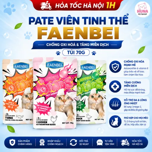 Pate Viên tinh thể chức năng cho mèo Faenbei Chống Oxi hoá & Tăng miễn dịch - 70g