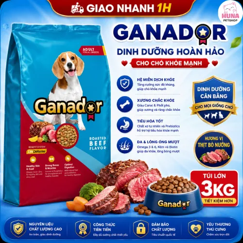 Thức Ăn Hạt Khô Cho Chó Con & Chó Trưởng Thành Ganador 3Kg – Đa Dạng Hương Vị, Dinh Dưỡng Toàn Diện