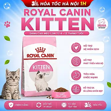 Thức Ăn Hạt Cho Mèo Con Royal Canin Kitten