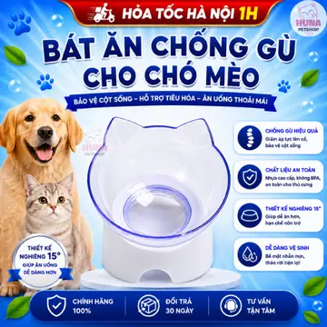 Bát Ăn Chống Gù - Bảo Vệ Cột Sống, Ăn Uống Dễ Dàng