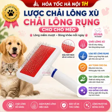 Lược chải lông xù cho chó mèo
