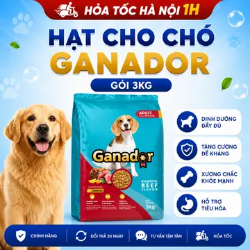 Hạt Ganador Cho Chó Trưởng Thành 3kg – Vị Bò Nướng & Gà Nướng