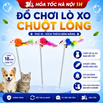 CÂY LÒ XO đồ chơi cho mèo gắn trên bàn, sàn gạch đồ chơi tự tương tác cho mèo thú cưng