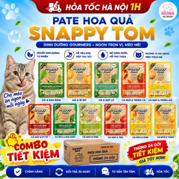 [Combo tiết kiệm] Pate cho mèo lớn mèo con Snappy Tom Hoa quả Gói 70g