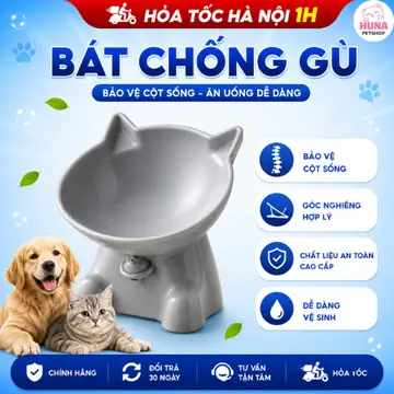 Bát Đựng Thức Ăn Nghiêng 15° Có Đế Cho Mèo – Thiết Kế Thông Minh, Bảo Vệ Cổ Mèo